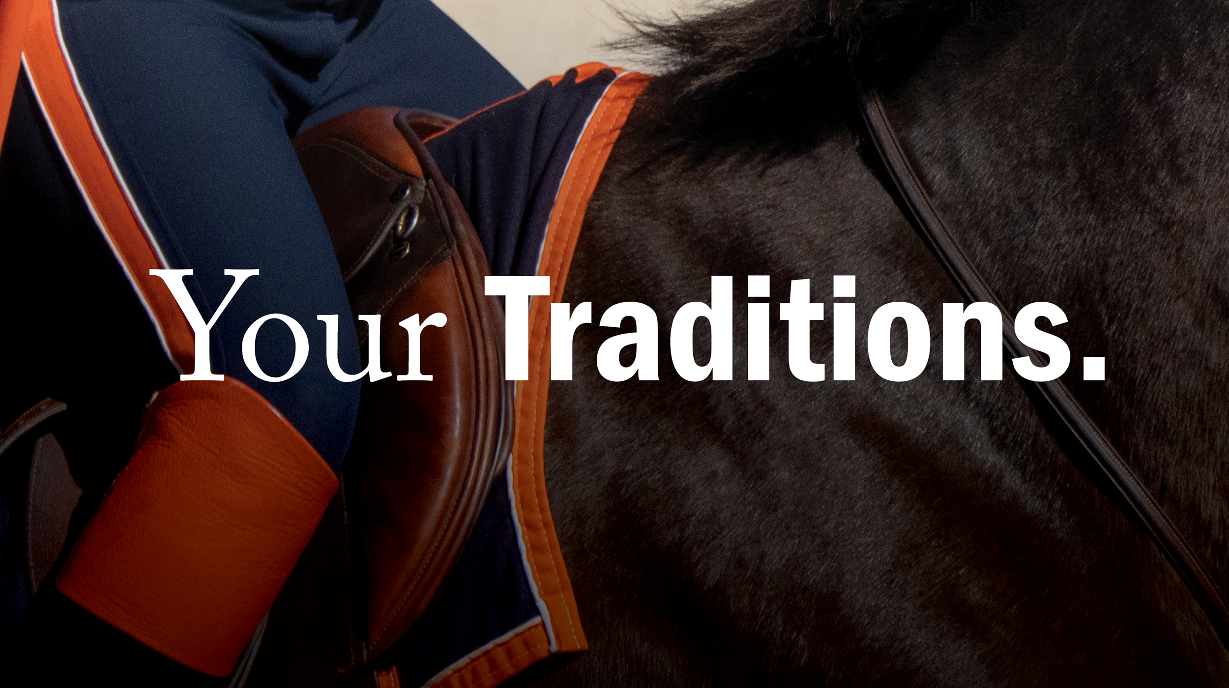 close up of cav riding horse "Your Traditions"
