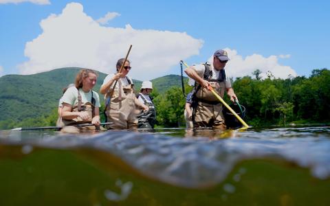 students taking a field biology of fishes class over the summer 2025